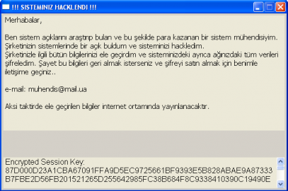 Şantajcı Yazılım ve TTNet Phising